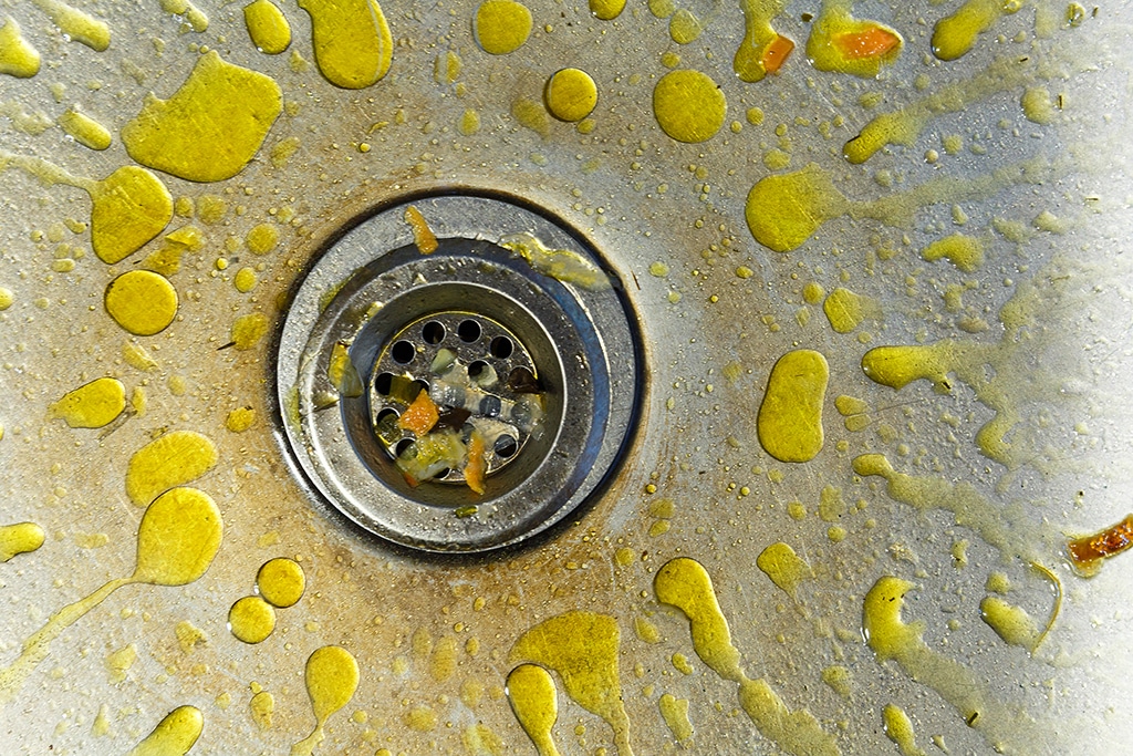 Drain Cleaning Service for a Backup | Myrtle Beach, SC