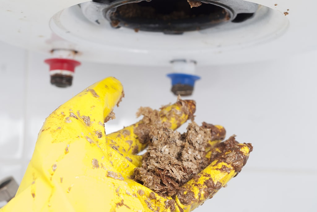 Signs That You Need Water Heater Repair Today | Myrtle Beach, SC