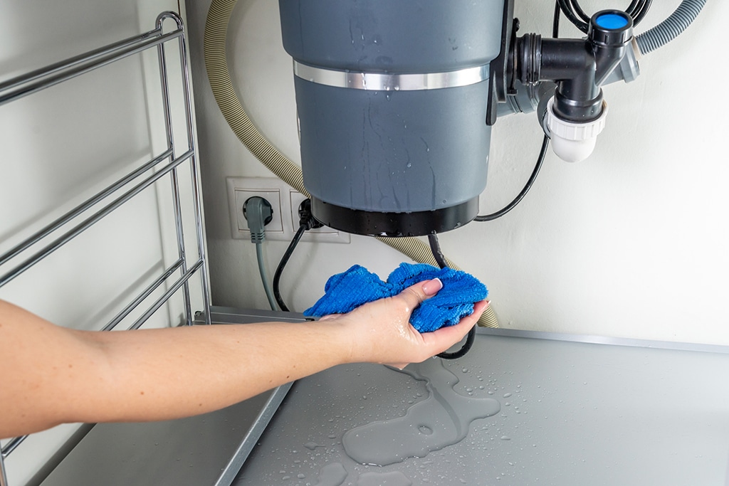 Questions For Your Plumber: Why Is My Garbage Disposal Leaking And What Can I Do About It? | Myrtle Beach, SC