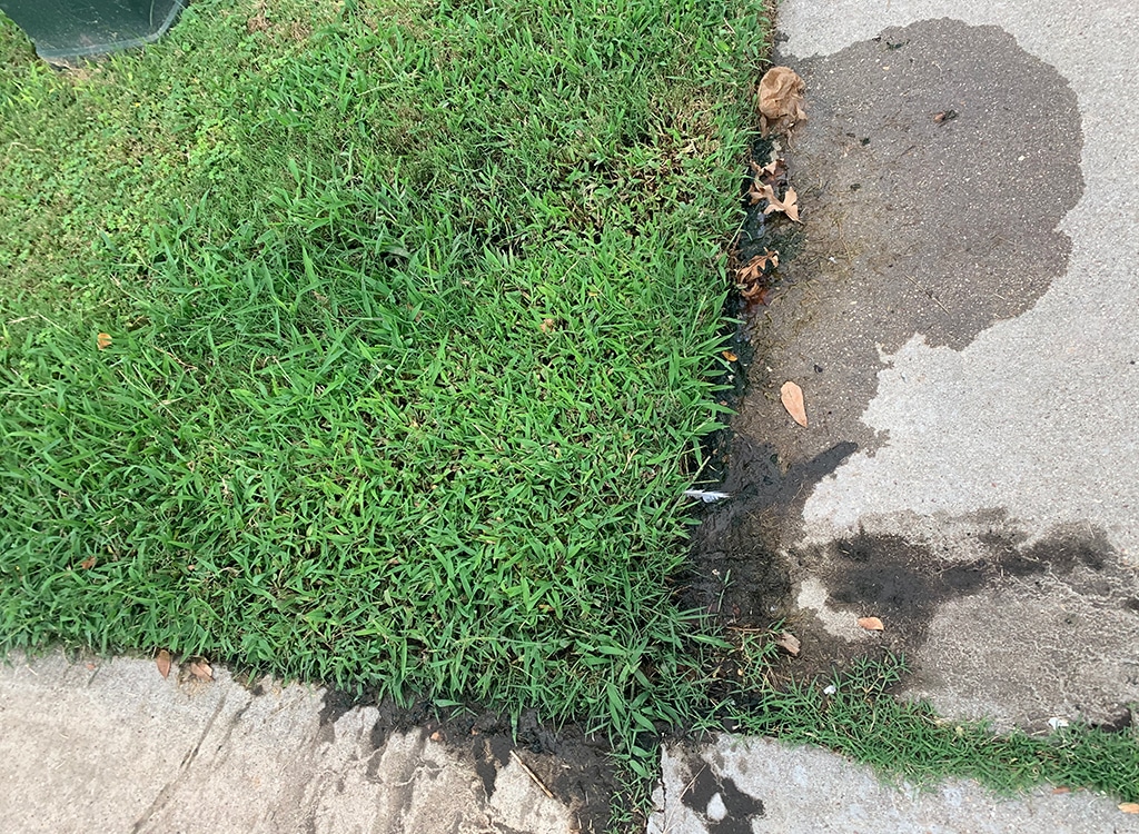 Common Signs You Need Water Line Repair | Myrtle Beach, SC