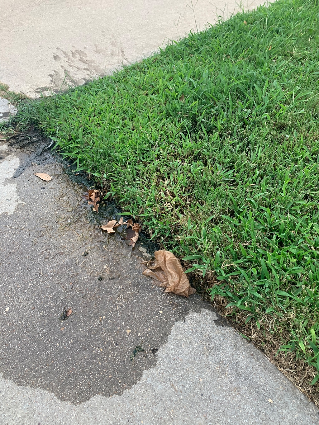 My, How Nicely That Strip Of Grass Is Growing! And Other Signs That You May Need Water Line Repair | Conway, SC