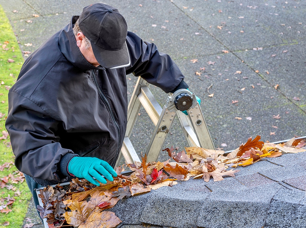 Need A Plumbing Service? 5 Common Spring Plumbing Problems | Conway, SC