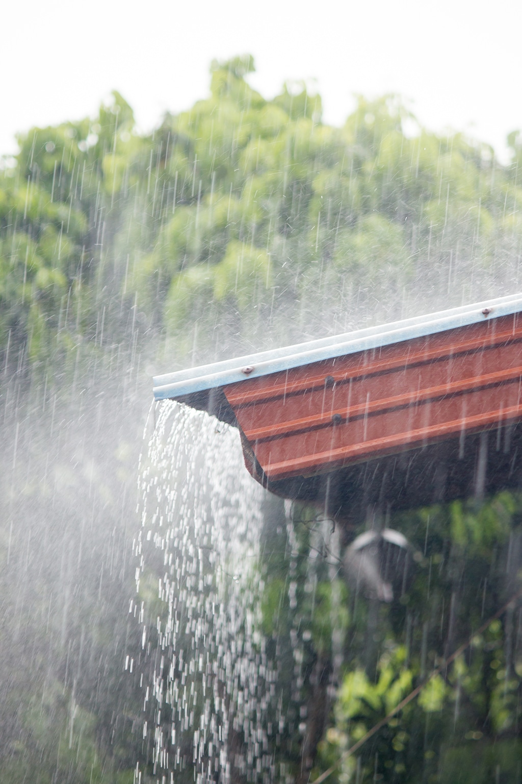 Can A Plumber Help With Sewer Backups After Those Particularly Rainy Days? | Myrtle Beach, SC