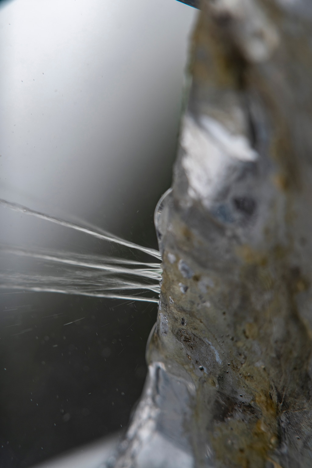 Get Professional Plumbing Service During A Plumbing Emergency | Myrtle Beach, SC