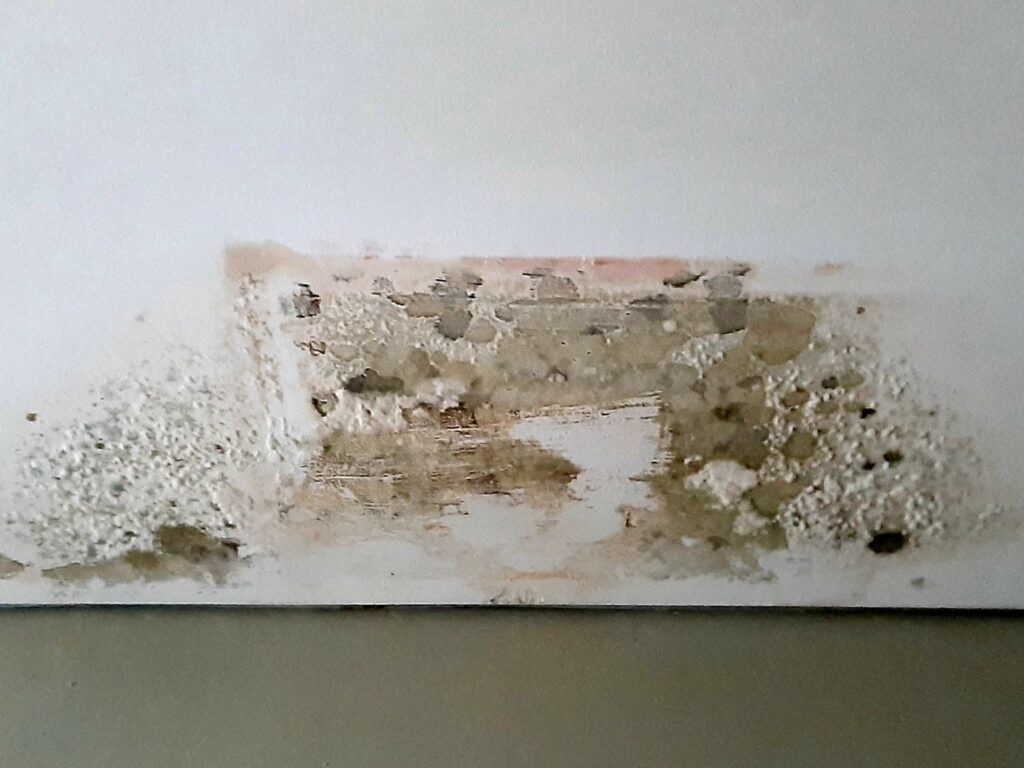 Top Strategies For Effective Mold Prevention At Home