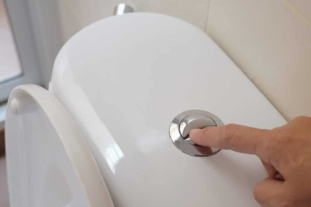 Dual-Flush Energy-Efficient Toilets.