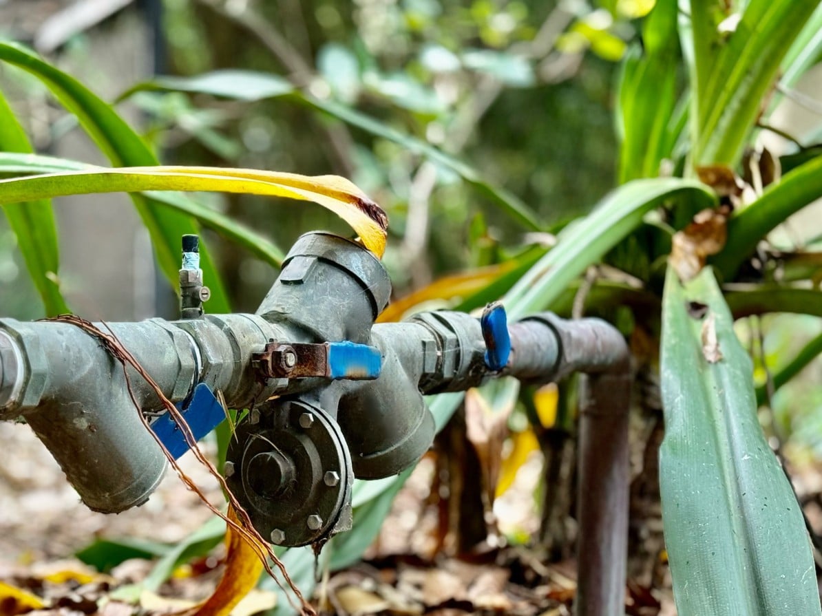 Iron Water pipe with valves, fallen leaves cover the ground, Double Check Valve.